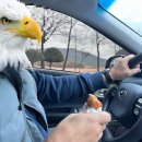 문당2 | 경주 특산품 추천, 경주월드 보문단지 맛집 호문당 경주파이 솔직후기