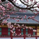 강수재 이미지