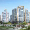 코아루이지움 이미지