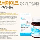 모닉 이미지