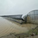 용안면 행정복지센터 이미지