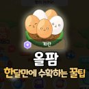 다다테크 | [앱테크 추천] 올팜 가성비로 한 달만에 작물 수확하는 방법 feat. 네이버카페