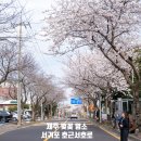 호근서호로 이미지