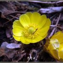 돌석도예박물관 이미지