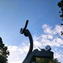 공원로352번길 이미지