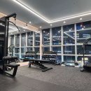 데이빗짐 이미지