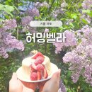 카페라일락 | 마포 합정 감성카페 허밍벨라 | 요즘 뜨는 라일락 카페 솔직후기