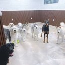 무크스페이스 이미지