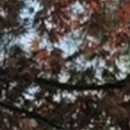 이-믿음치과의원 이미지