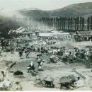 중부-현장-중부-1826 | [스크랩] 이재난고 조선시대 인기 벼슬 능참봉