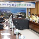 완도고무