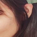 그린헤어아트 이미지
