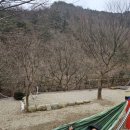 영월 나조스트 캠핑장 명당 추천 J15 후기 : 경치 좋은 캠핑장 추천 영월시장 나조스트 근처식당 설경