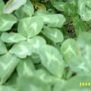 등너머약수터 이미지