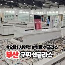 원안경 이미지