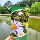 여주시장애인단체사무실 | 여주 아이랑 함께 가볼만한곳 [바이블랜드 수목원], 카페 [나드] 방문 후기