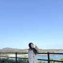 주식회사 고움 | 대마도여행 대마도당일치기, 여행특공대 대마도배편 쓰시마링크호 부산국제여객터미널