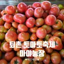 행복농장맛집 | 퇴촌 토마토축제ㅣ토마토맛집 마야농장 구매후기