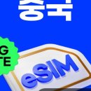 [상하이] 2024.11.19 ~ 21 3박 4일 상하이 (상해) 여행기 (중국 무비자 여행, 중국동방항공, 센트럴...