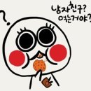 동그리 이미지