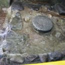 무등산 닭한마리 이미지