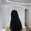 시저리서신