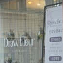 드로우플레르