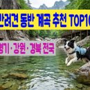 한국지역신문경북협의회 | 반려견 동반 계곡 추천 TOP10 | 경기·강원·경북 전국 총정리