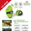 영문농장 이미지