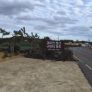 라뷰테제주 이미지