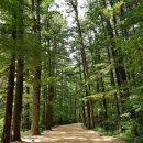 희망내음어린이공원 (옥외1) | 기술대회(CKC) 참석하여 한인과학기술자들과 소통·격려... 여름철 가족과 함께 걷기 좋은…국립공원길 7선