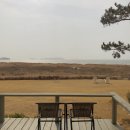 바다가 되고싶은 비 이미지