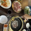 도로시파스타수유쌍문점 네이버블로그