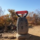 경북청과 Daum카페