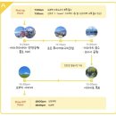 가야고속관광투어㈜ | 도쿄여행 후지산 당일치기 버스투어 솔직후기 - 흐린날 부모님과 다녀온 가성비 투어(코스/가격/예약...