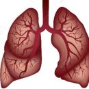 스마트아이케어 이미지