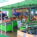 달구나청과 이미지