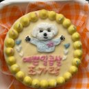 댕금님표 수제간식 이미지