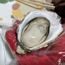 농라수산 직거래 장터에서 가리비 석화 키조개 구입후기