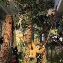 아프리카박물관 이미지