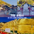 성불주차장 | 부산 기장 소원사 다녀왔어요! 한 가지 소원 이루어준다는 사찰 후기