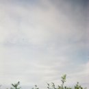 안경여행 | 필름카메라 처음 써봤어요. 여행가서 까만 안경아니고 까만 사진남긴 후기.