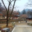 장춘사 대웅전 이미지