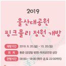 핑크정원