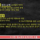 청노루