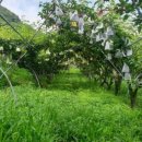 나금이네 이미지