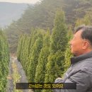 그린농장 이미지