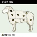 징기스칸램 이미지