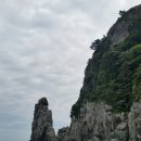 한국원목