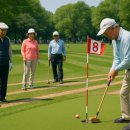 파크골프 이미지